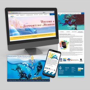 Website redesign and maintenance - HSA